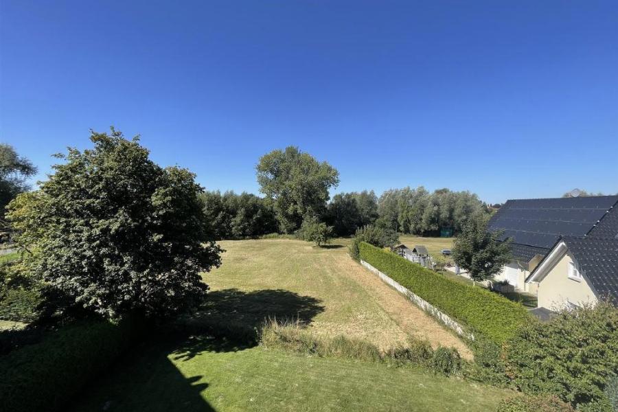 Blick ins Grüne